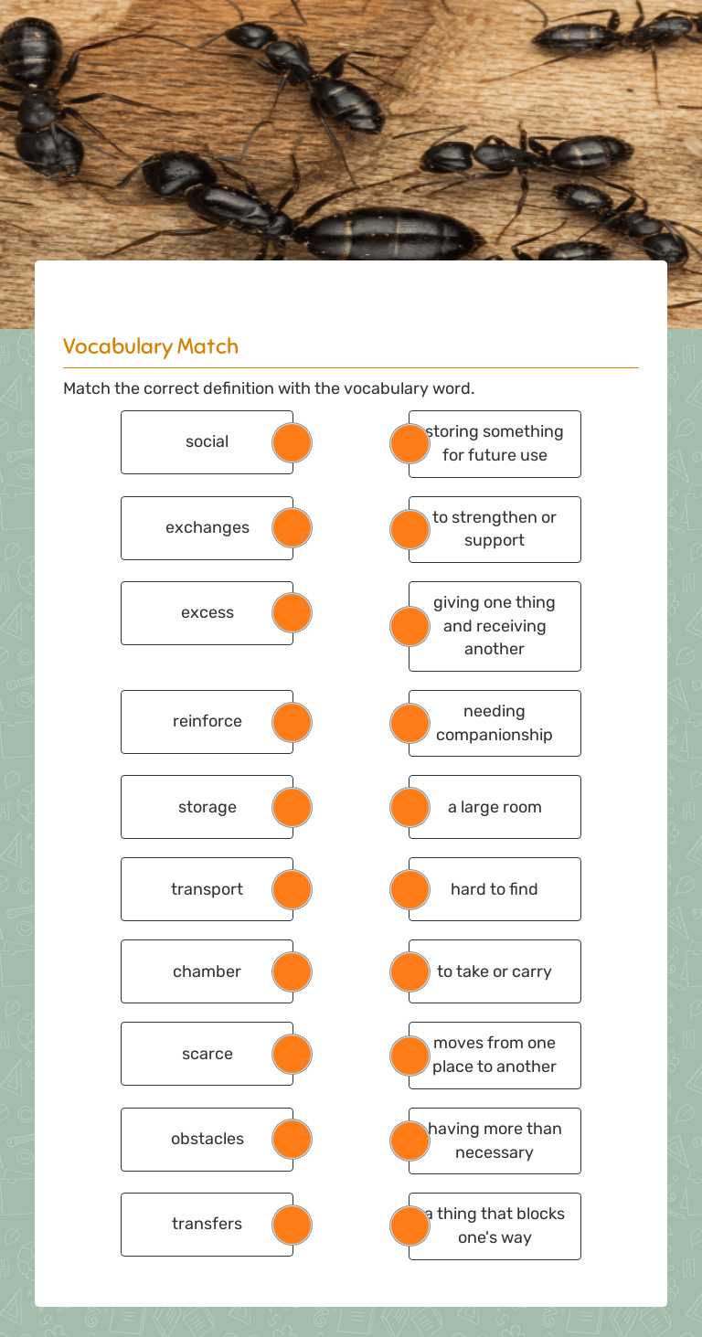 The life and times of the ant Vocabulary Grade 4 worksheet preview