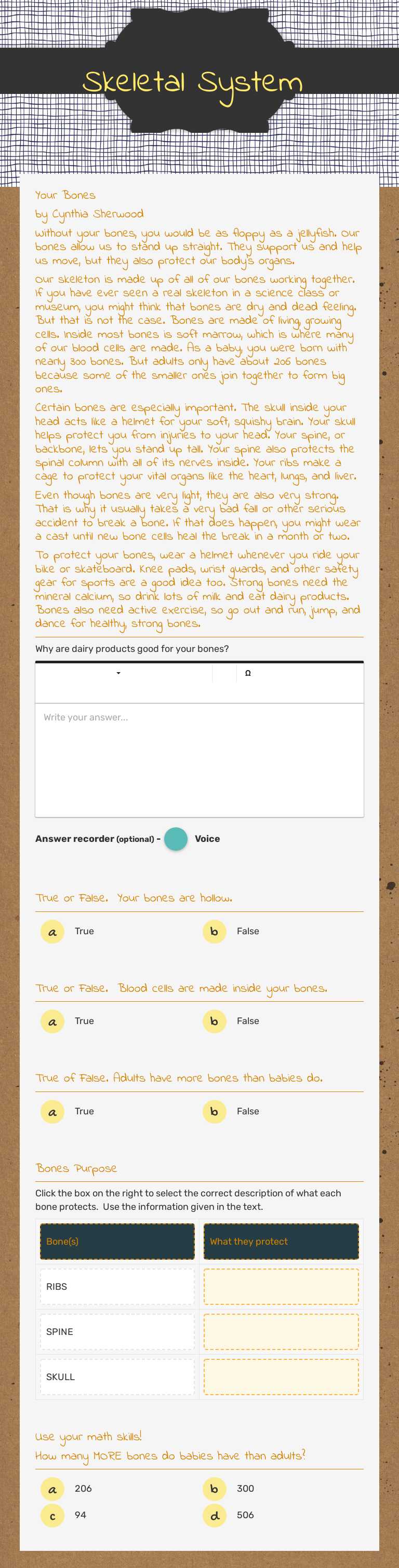 Skeletal System Grade 3 worksheet preview