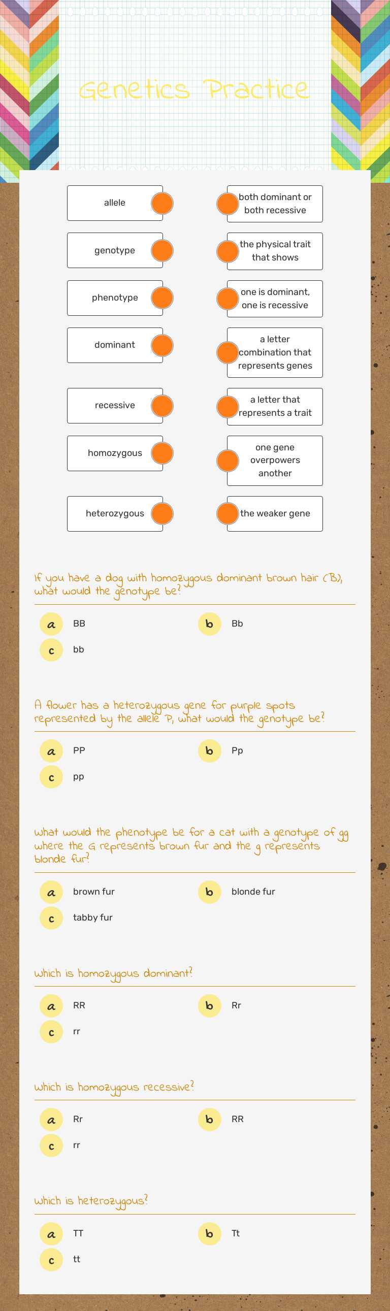 Genetics Practice worksheet preview image