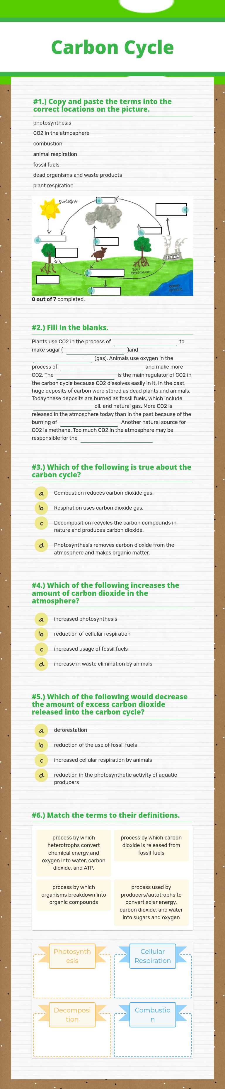 Carbon Cycle worksheet preview image