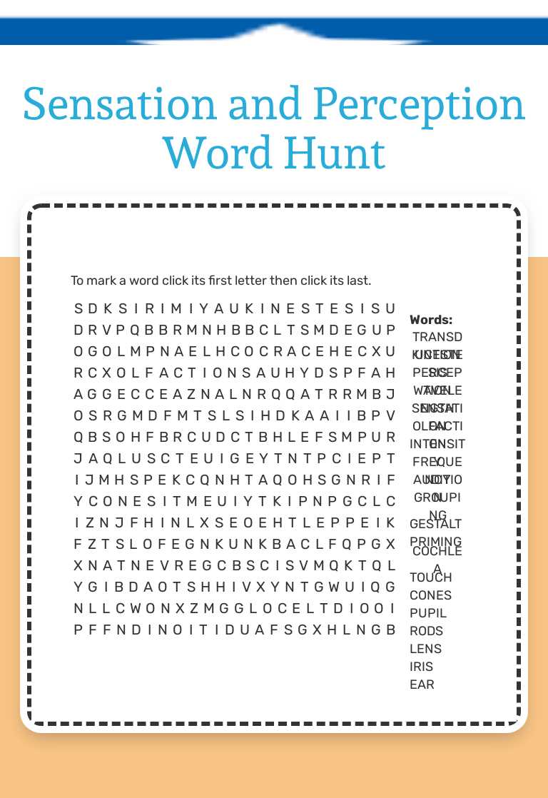 Sensation and Perception Word Hunt worksheet preview image
