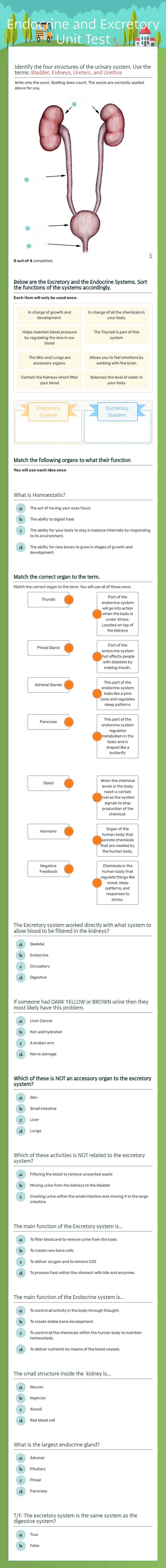 Endocrine and Excretory Unit Test worksheet preview image