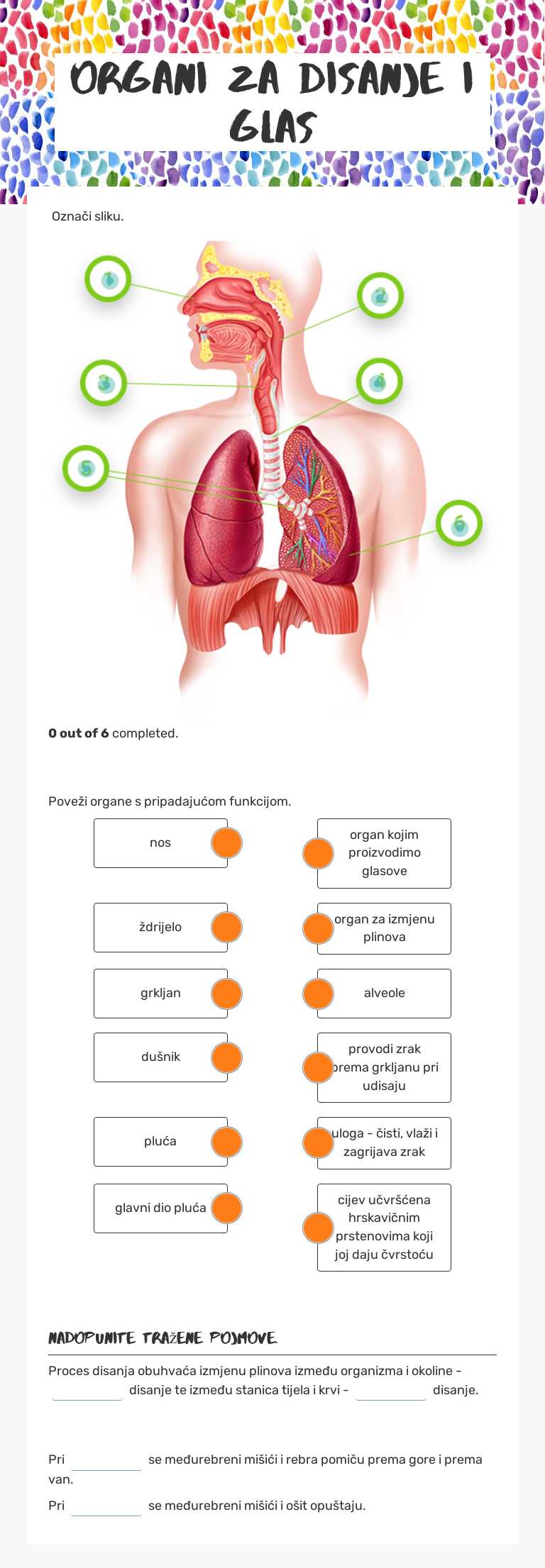 organi za disanje i glas worksheet preview image