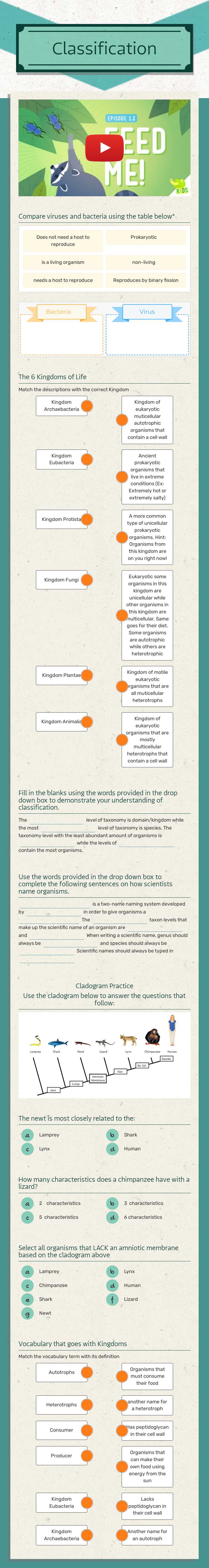 Classification worksheet preview image