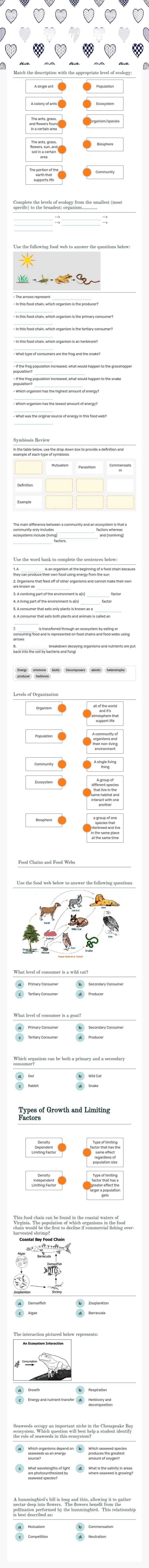 Ecology Review Grade 7 worksheet preview