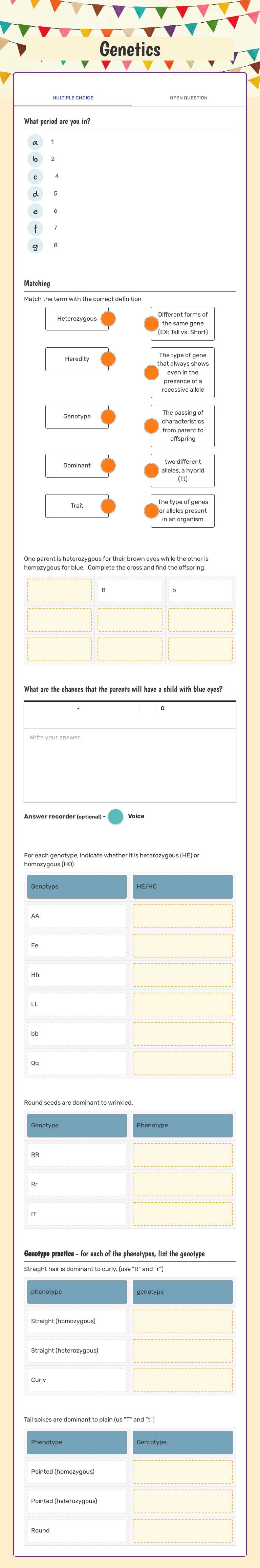 Genetics worksheet preview image