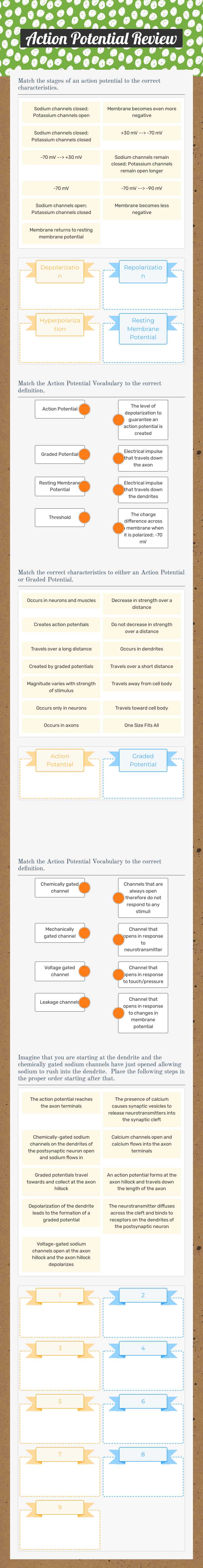 Action Potential Review worksheet preview image