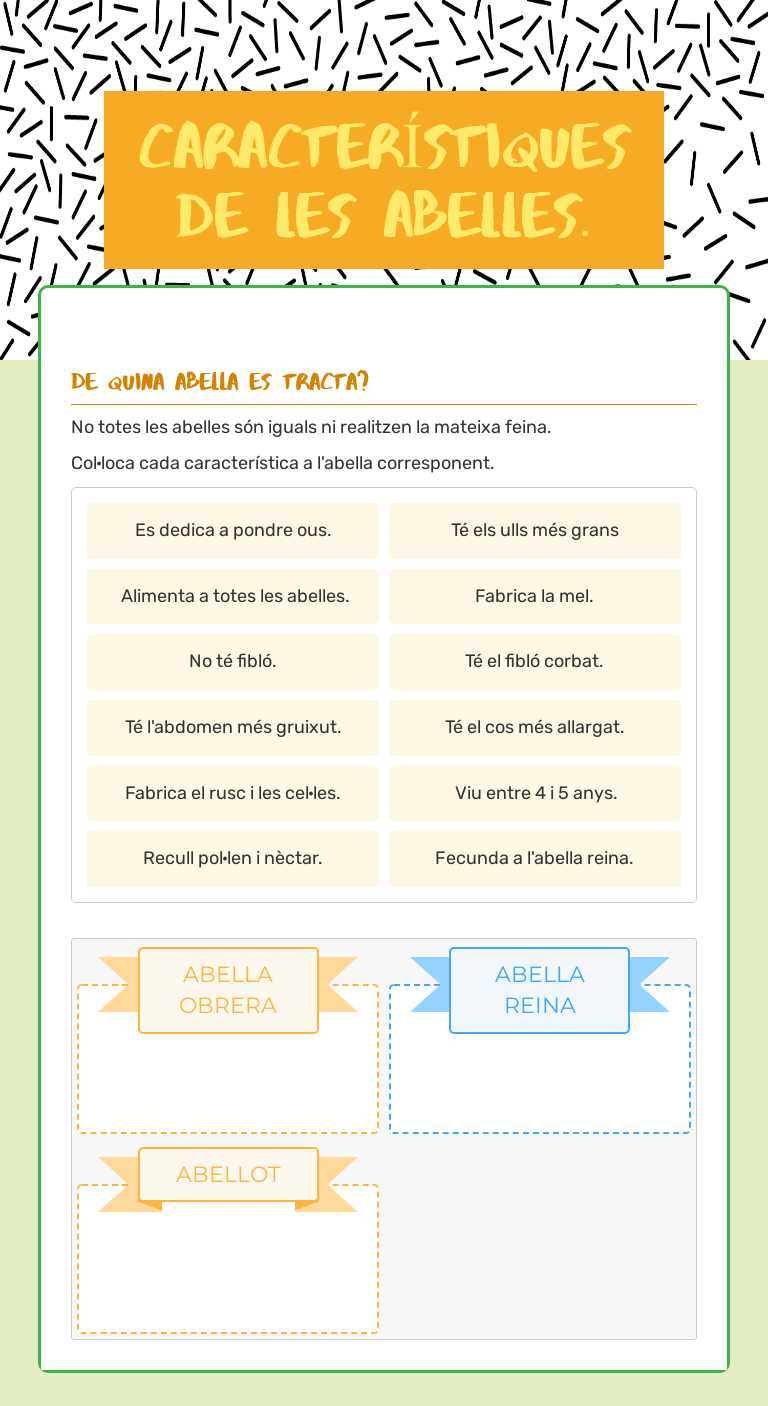 CARACTERÍSTIQUES DE LES ABELLES. worksheet preview image