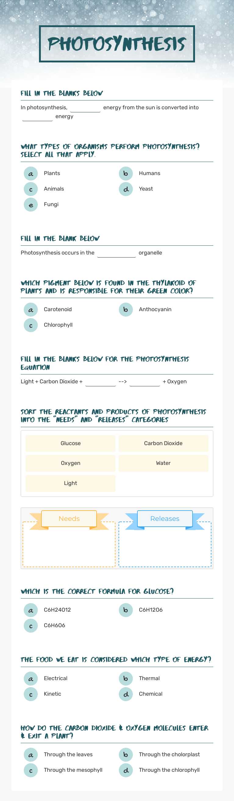 Photosynthesis worksheet preview image