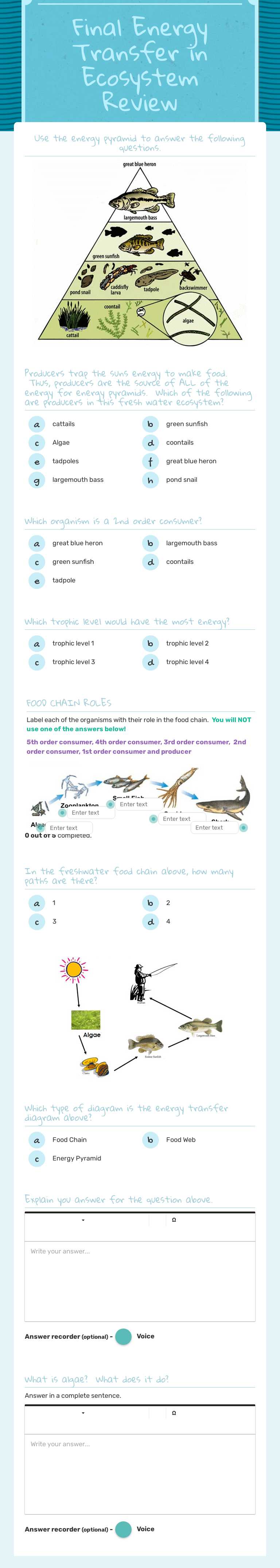 Final Energy Transfer in Ecosystem Review Grade 6 worksheet preview