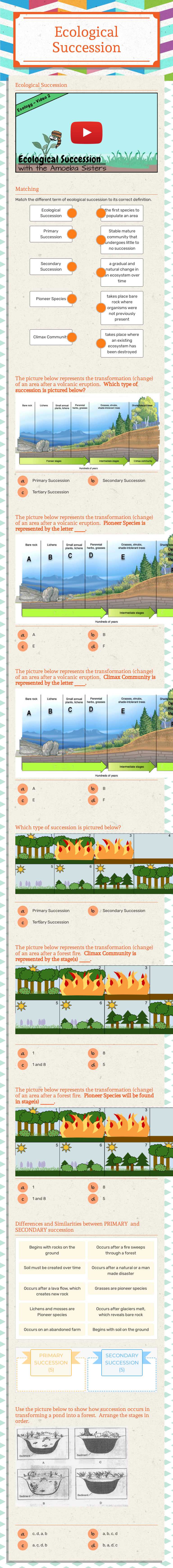 Ecological Succession worksheet preview image