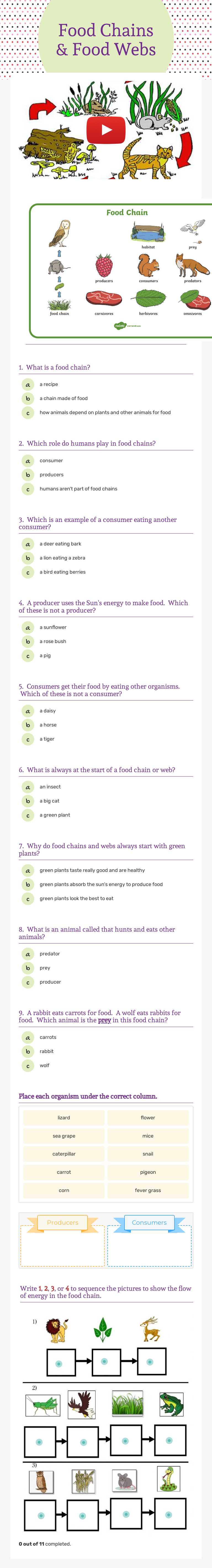 Food Chains & Food Webs Grade 4 worksheet preview