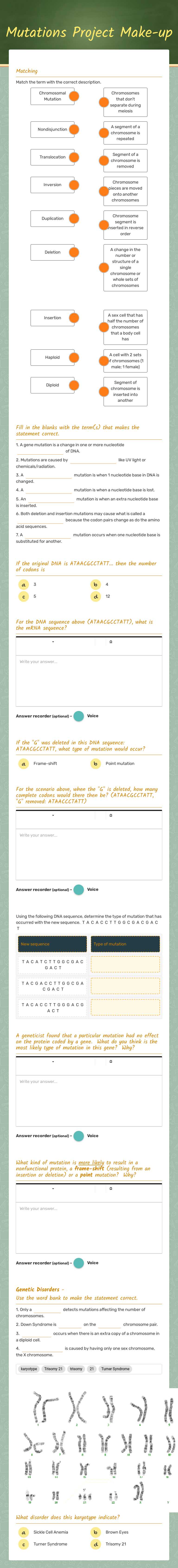 Mutations Project Make-up worksheet preview image