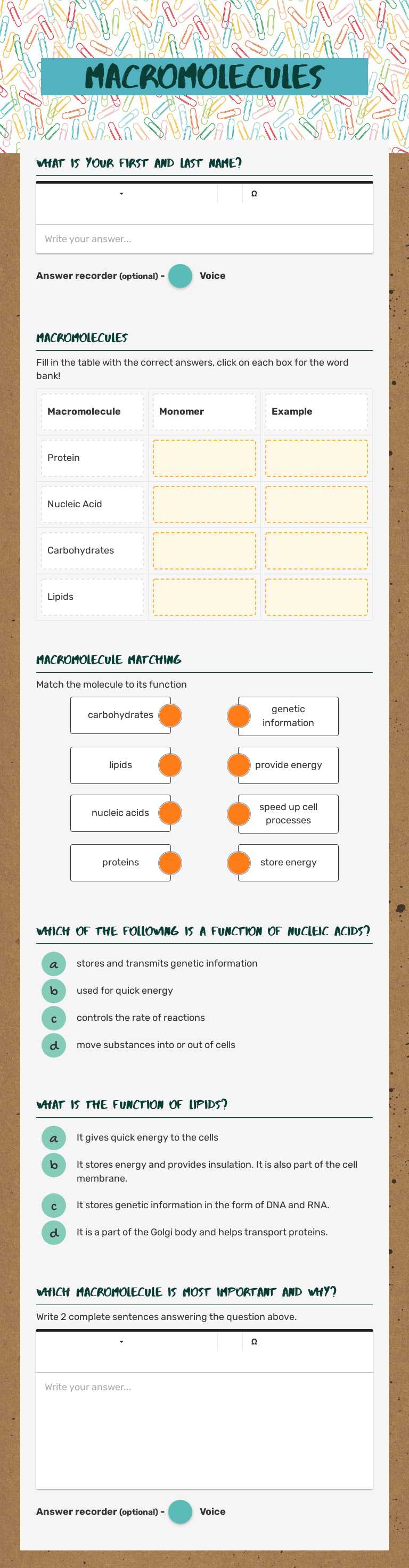 Macromolecules worksheet preview image