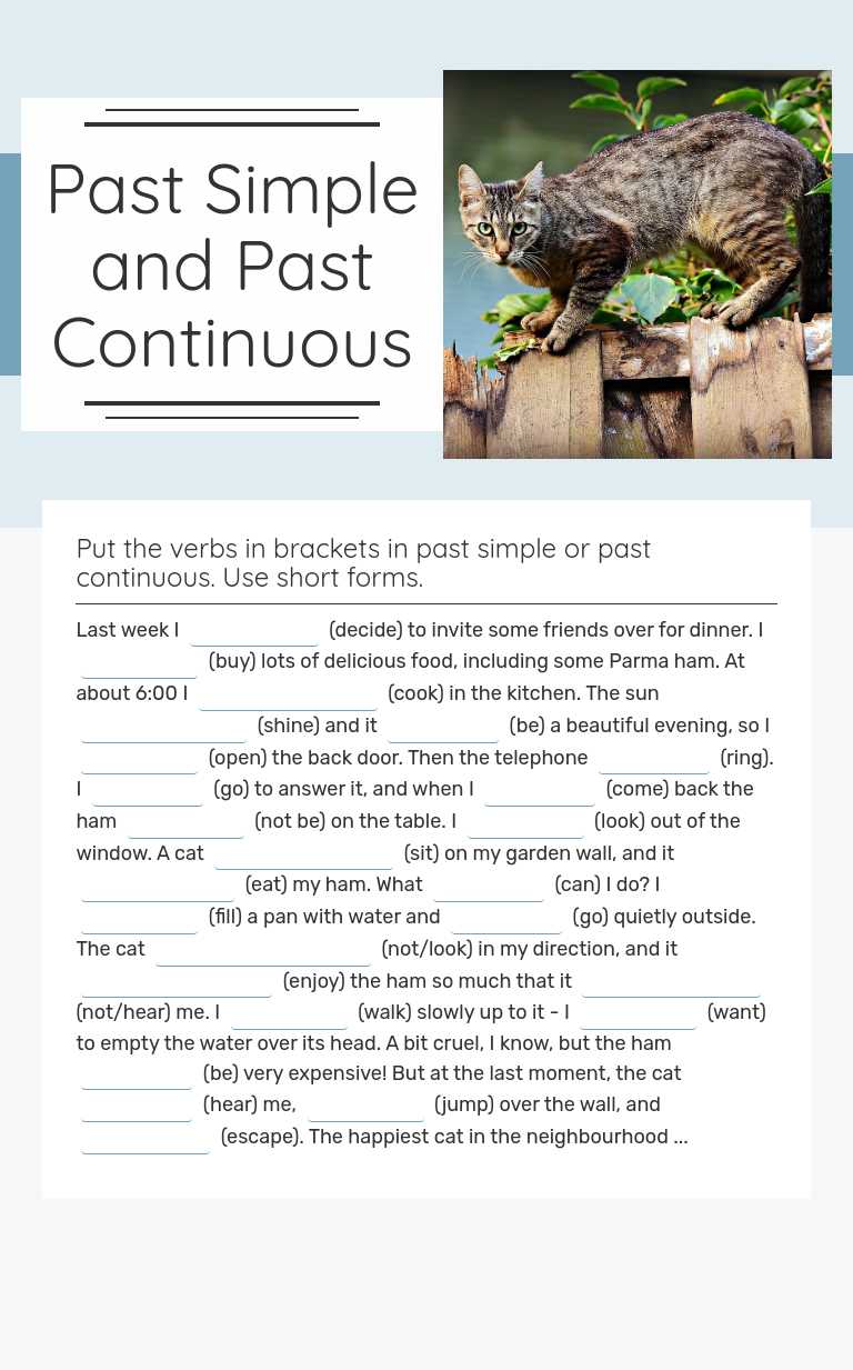 Past Simple and Past Continuous Grade 10 worksheet preview