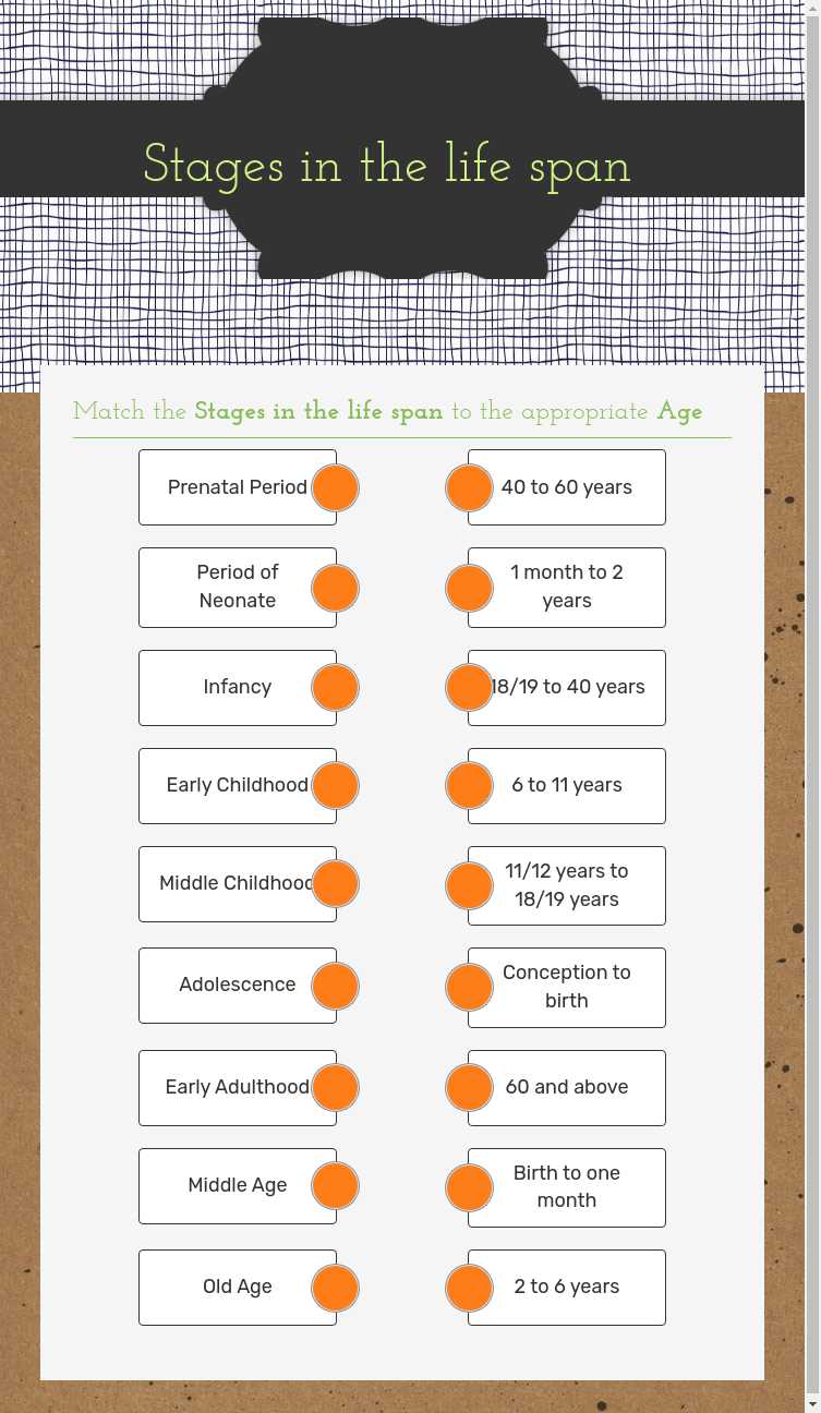 Stages in the life span worksheet preview image