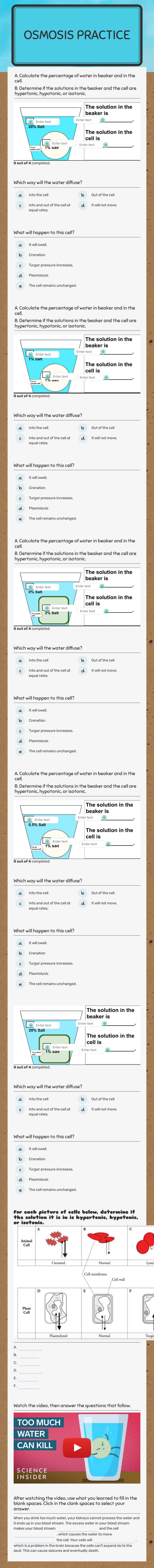 Osmosis Worksheet worksheet preview image