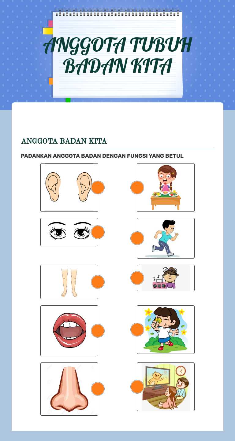 ANGGOTA TUBUH BADAN KITA worksheet preview image