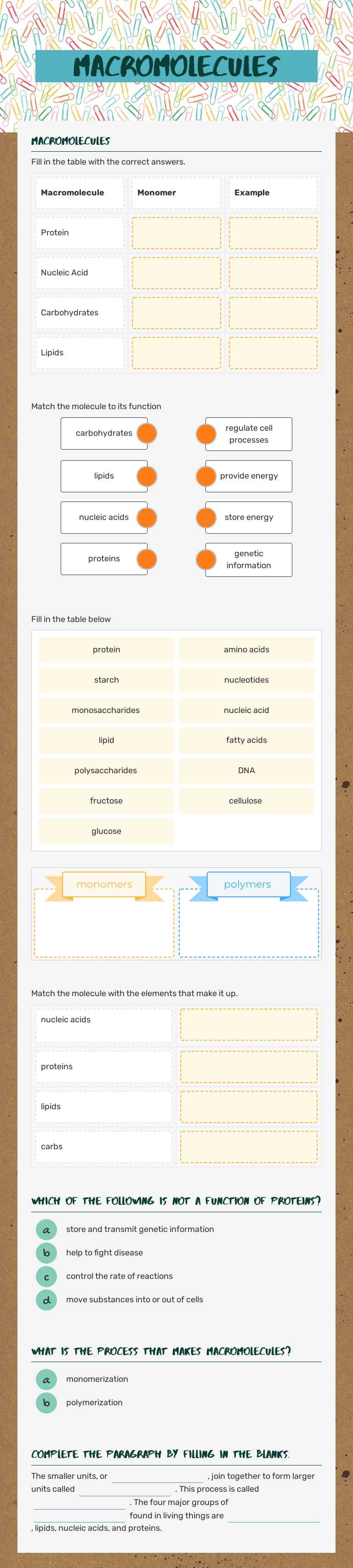 Macromolecules worksheet preview image