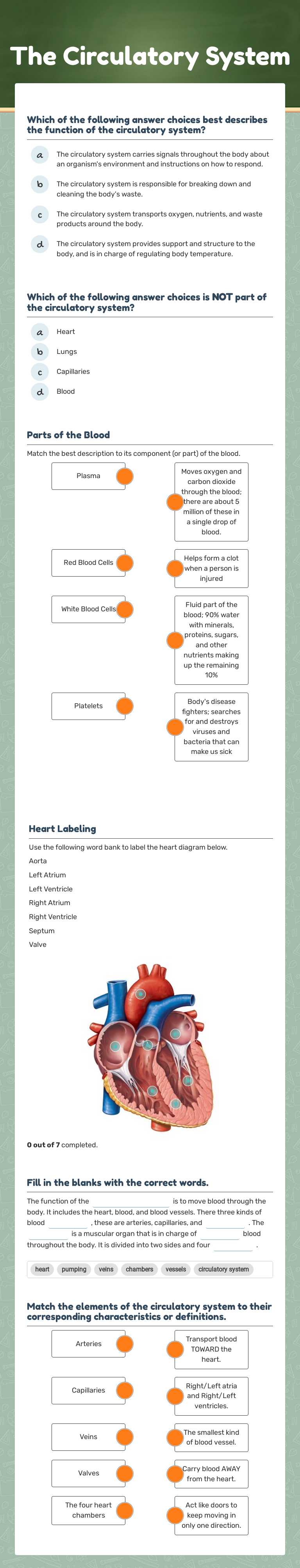 The Circulatory System by Rhashay Taylor | Interactive Worksheet | Wizer.me