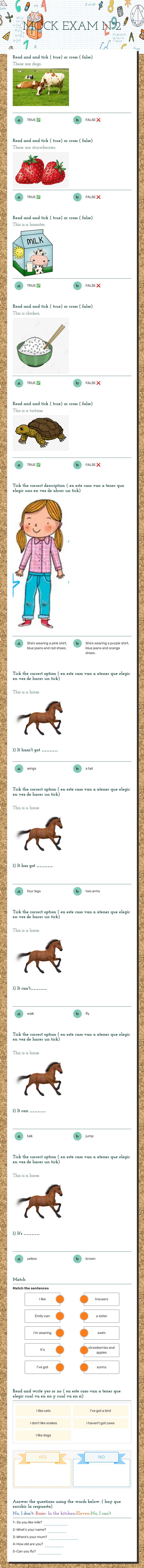 MOCK EXAM N°2 worksheet preview image
