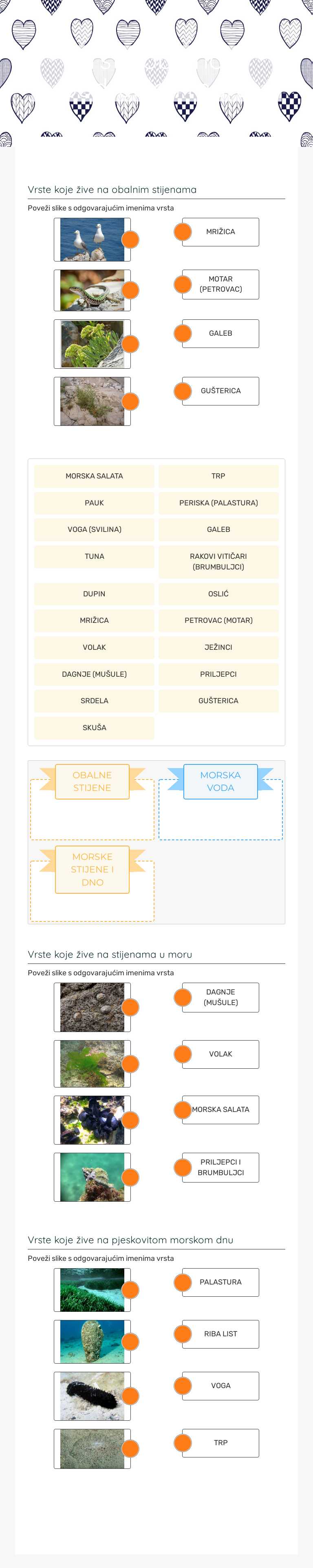 Vrste obalnog područja i mora Grade 4 worksheet preview