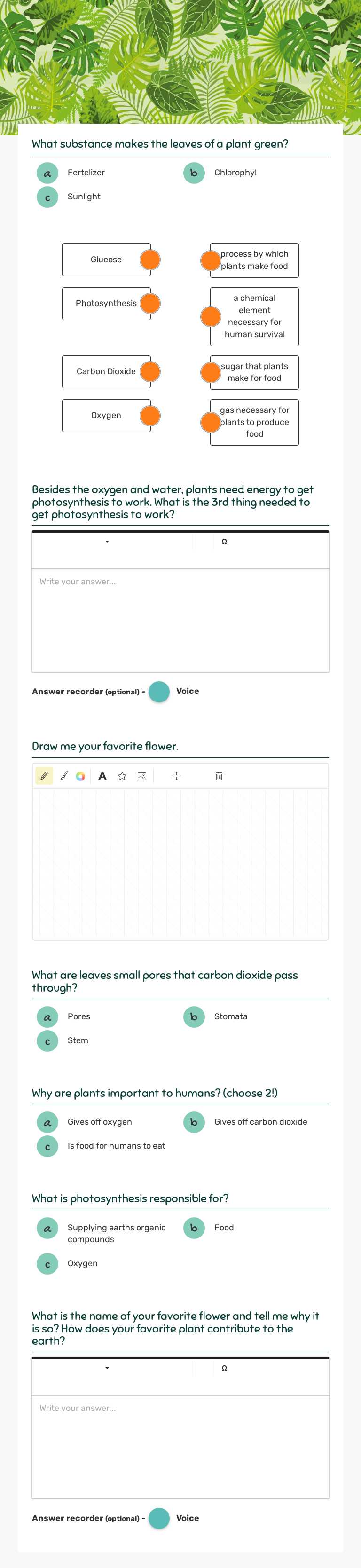 photosynthesis worksheet preview image