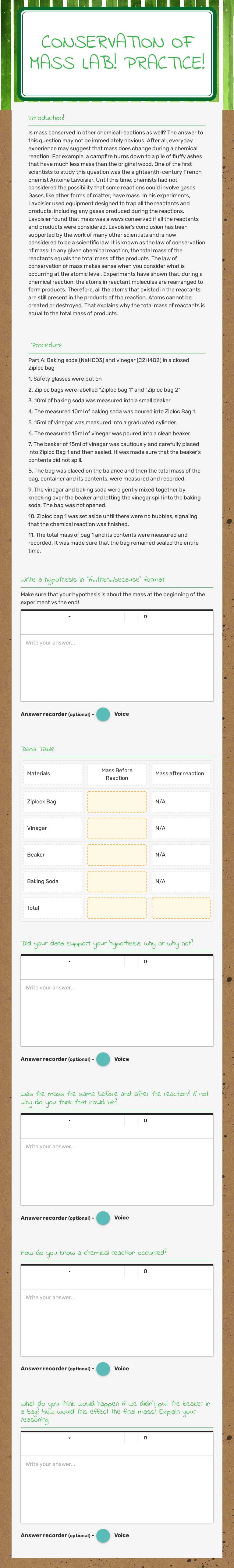 Conservation of Mass Lab! Practice! worksheet preview image