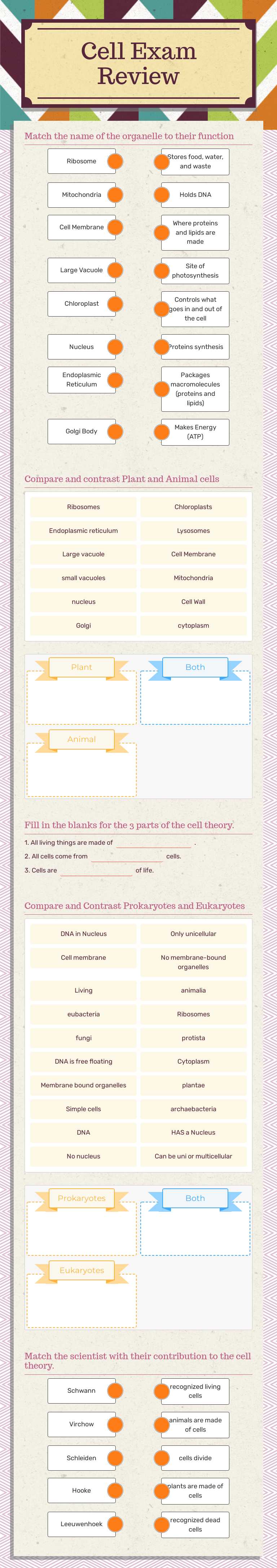 Cell Exam Review worksheet preview image