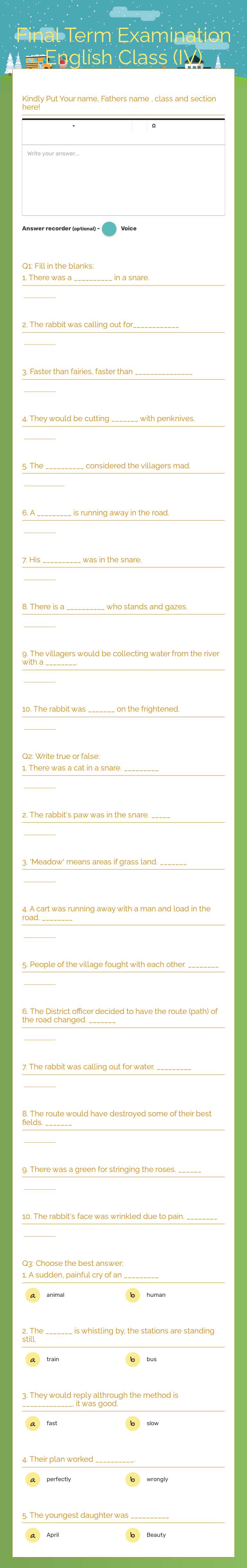 Final Term Examination    English Class (IV) worksheet preview image