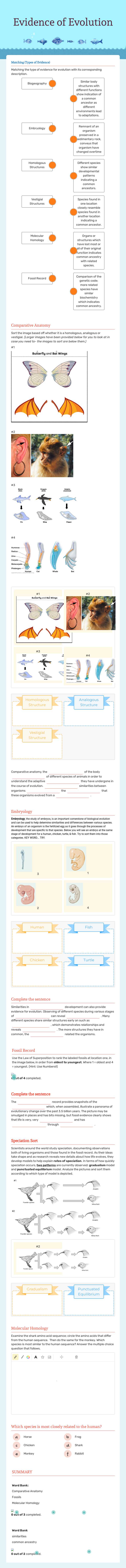 Evidence of Evolution worksheet preview image