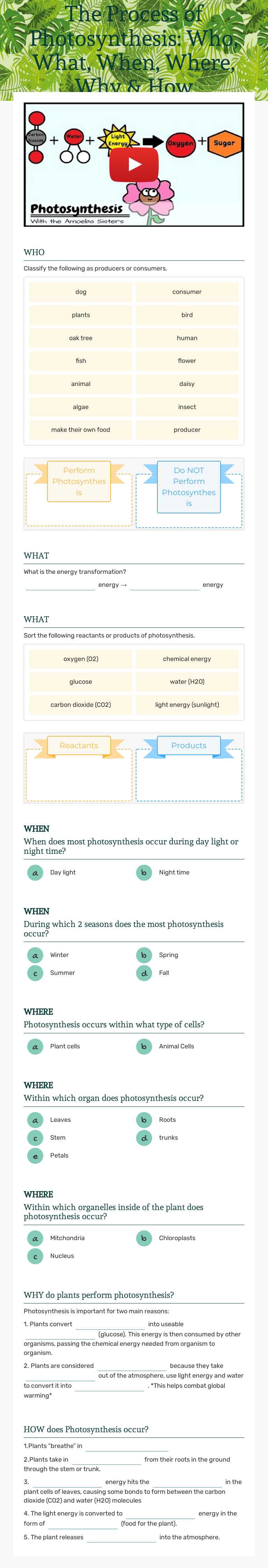 Honors The Process of Photosynthesis: Who, What, When, Where, Why & How worksheet preview image