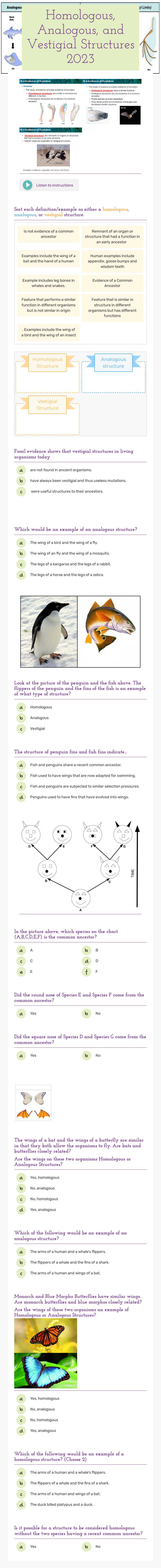 Homologous, Analogous, and Vestigial Structures 2023 worksheet preview image