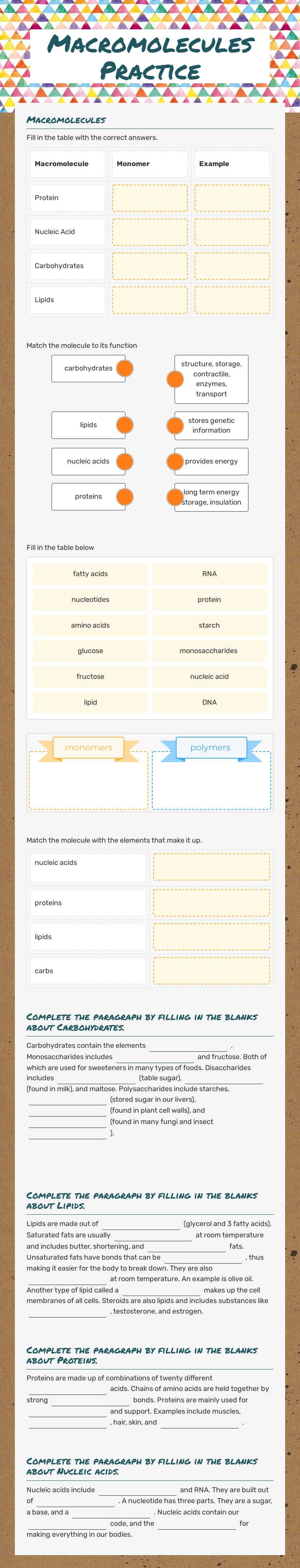 Macromolecules Practice worksheet preview image