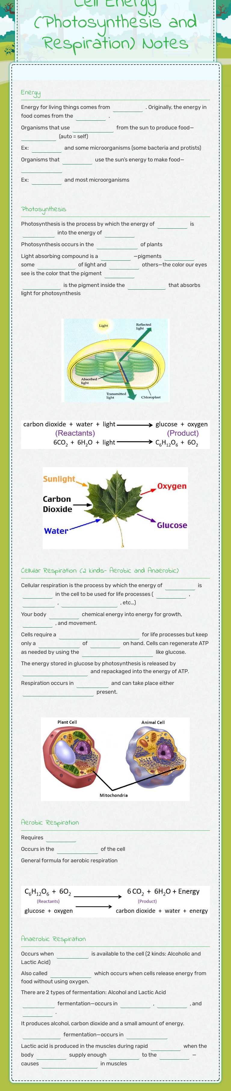 Cell Energy (Photosynthesis and Respiration) Notes worksheet preview image