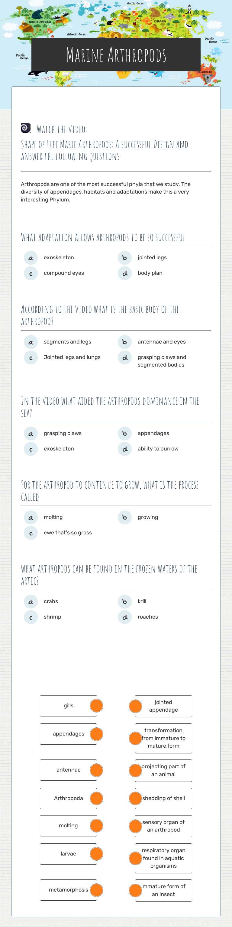 Marine Arthropods worksheet preview image