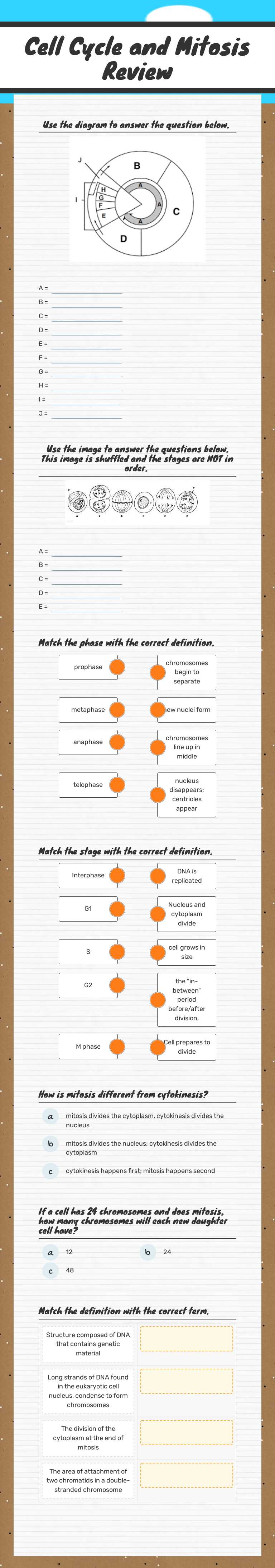 Cell Cycle and Mitosis Review worksheet preview image