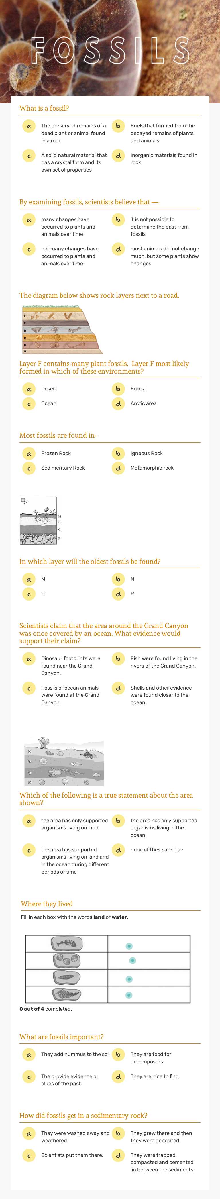Worksheet AV0BH5 Grade 8 worksheet preview