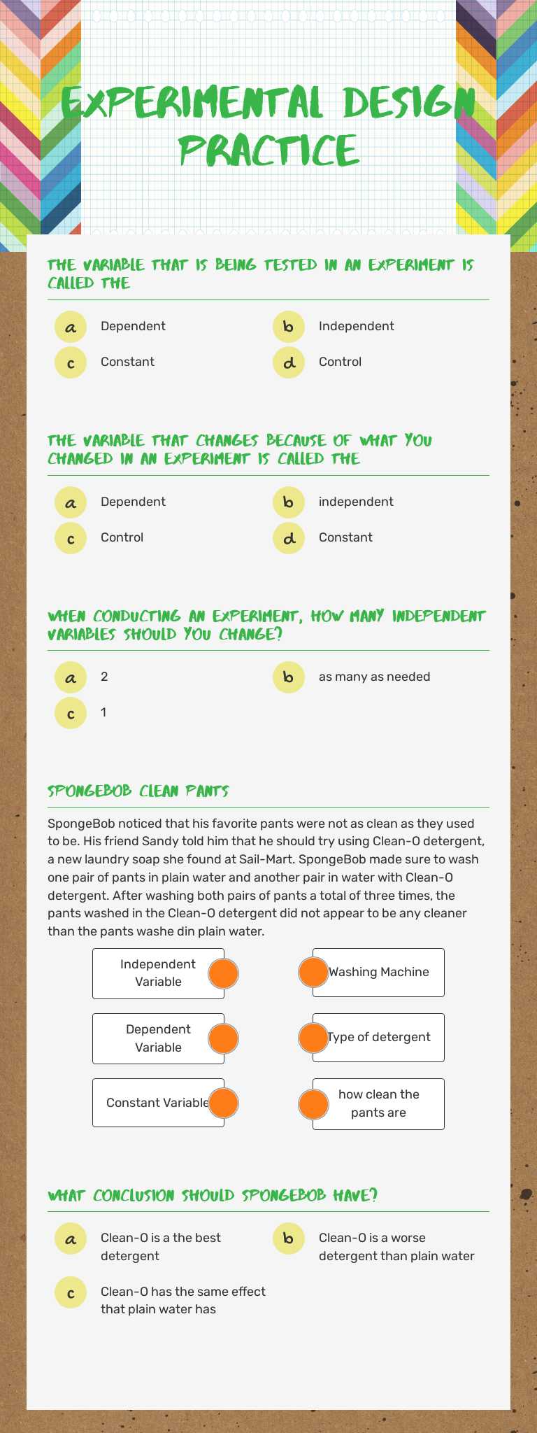 Experimental Design Practice worksheet preview image