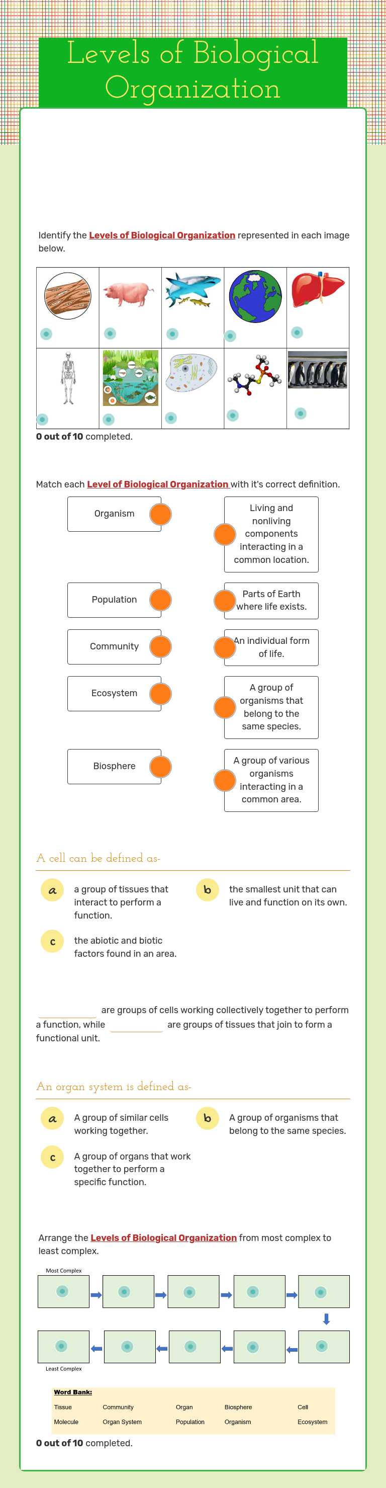 Levels of Biological Organization worksheet preview image