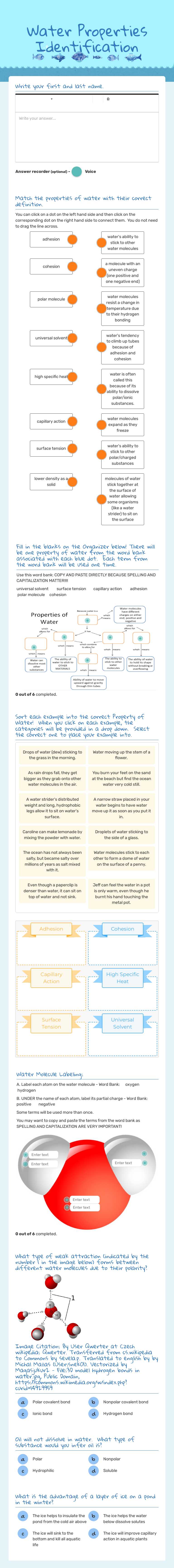 Water Properties Identification Grade 8 worksheet preview