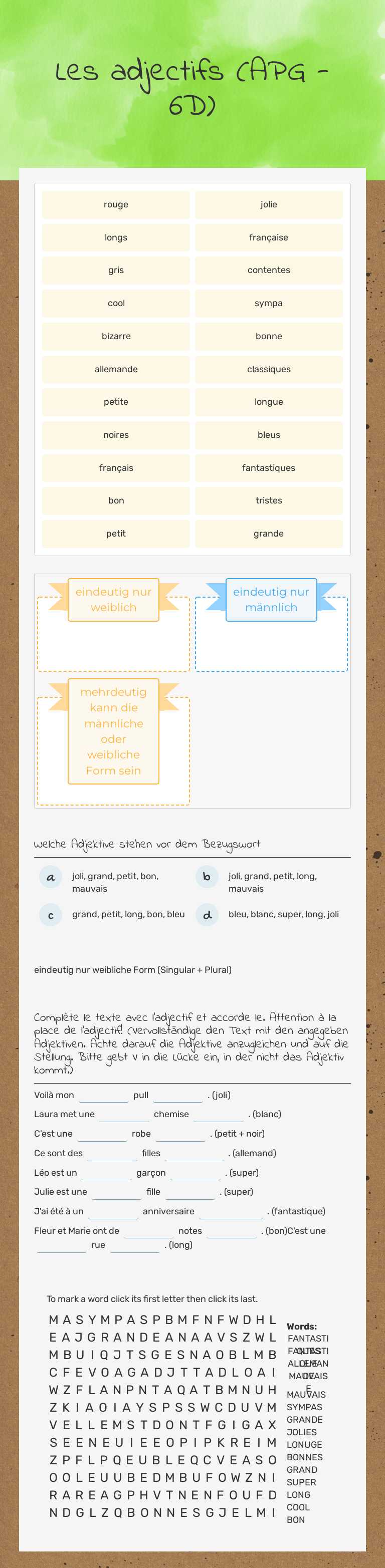 Les adjectifs (APG - 6D) worksheet preview image