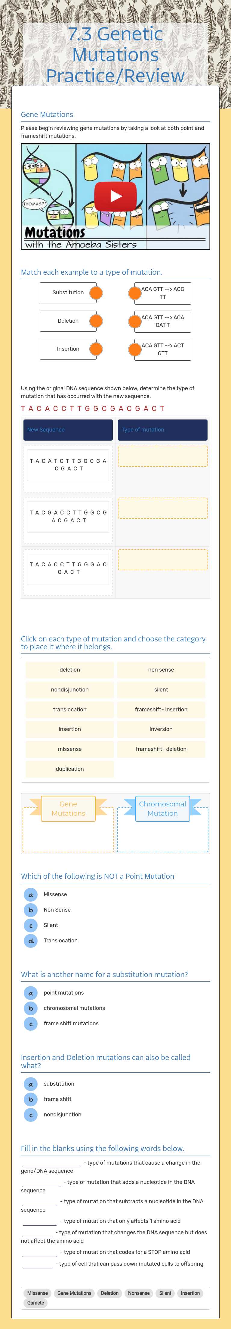 7.3 Genetic Mutations Practice/Review worksheet preview image