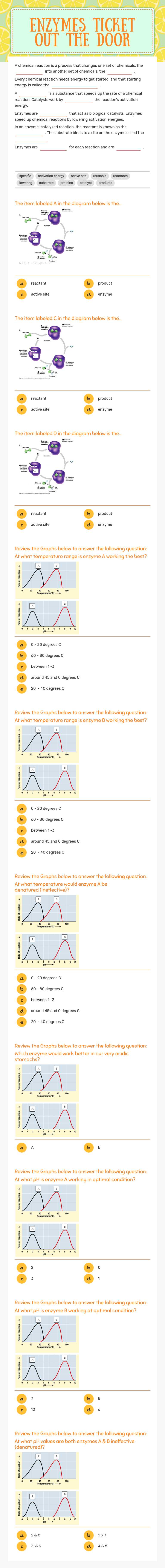 Enzymes Ticket Out the Door worksheet preview image