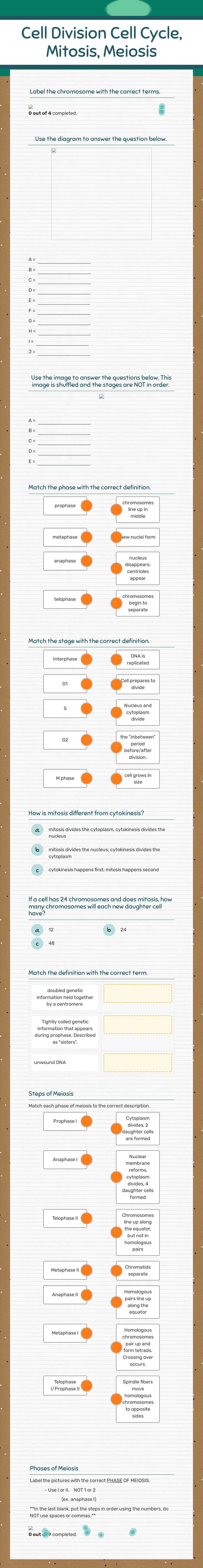 Cell Division
Cell Cycle, Mitosis, Meiosis worksheet preview image