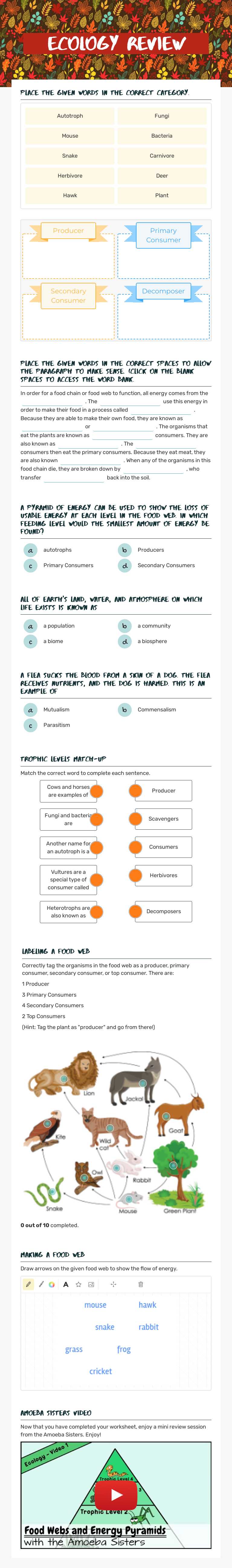 Ecology Review Grade 9 worksheet preview