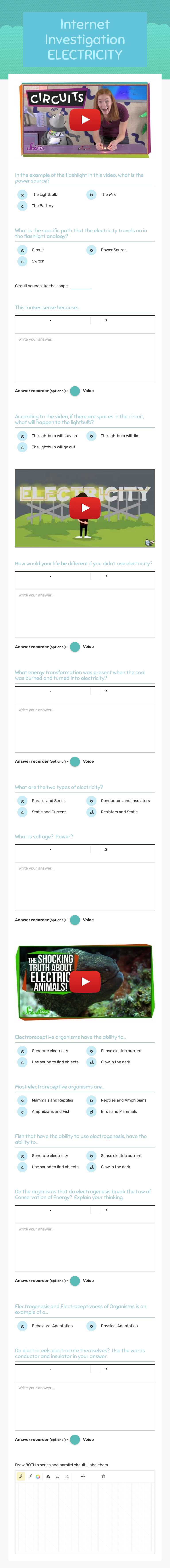 Internet Investigation ELECTRICITY worksheet preview image
