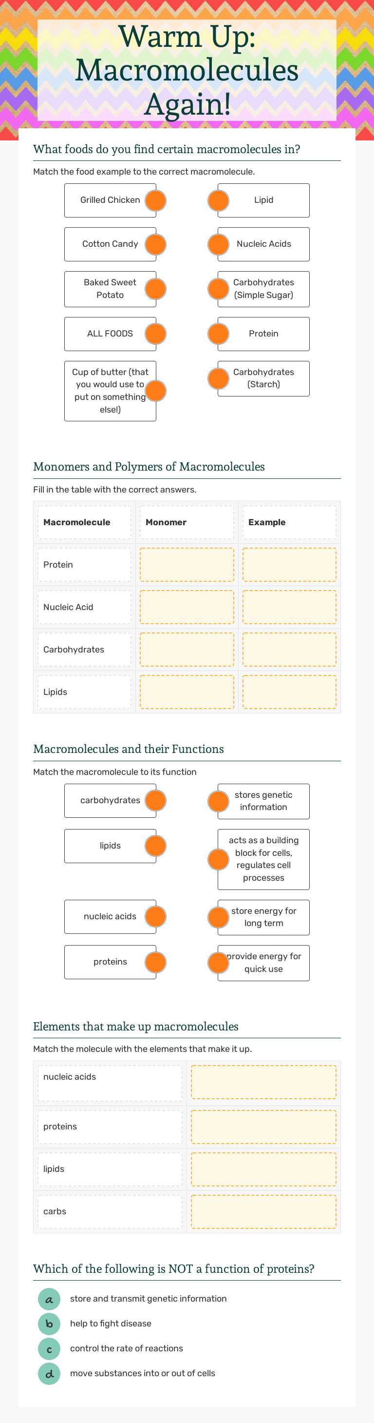 Warm Up: Macromolecules Again! worksheet preview image
