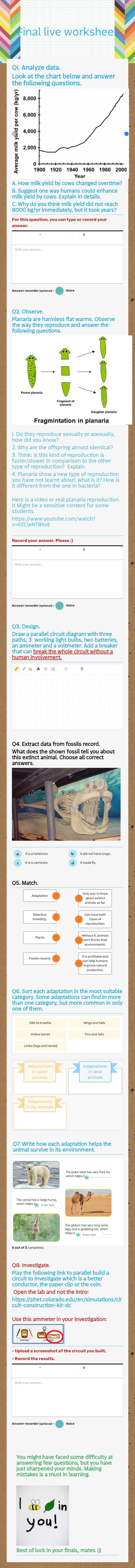 Final live worksheet worksheet preview image