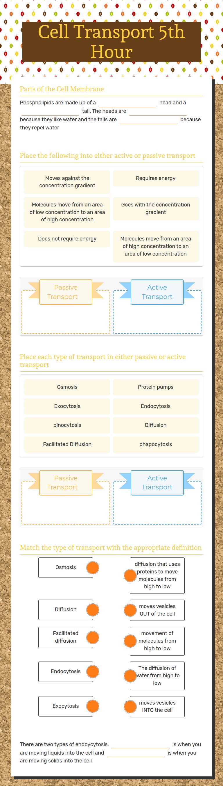 Cell Transport 5th Hour worksheet preview image
